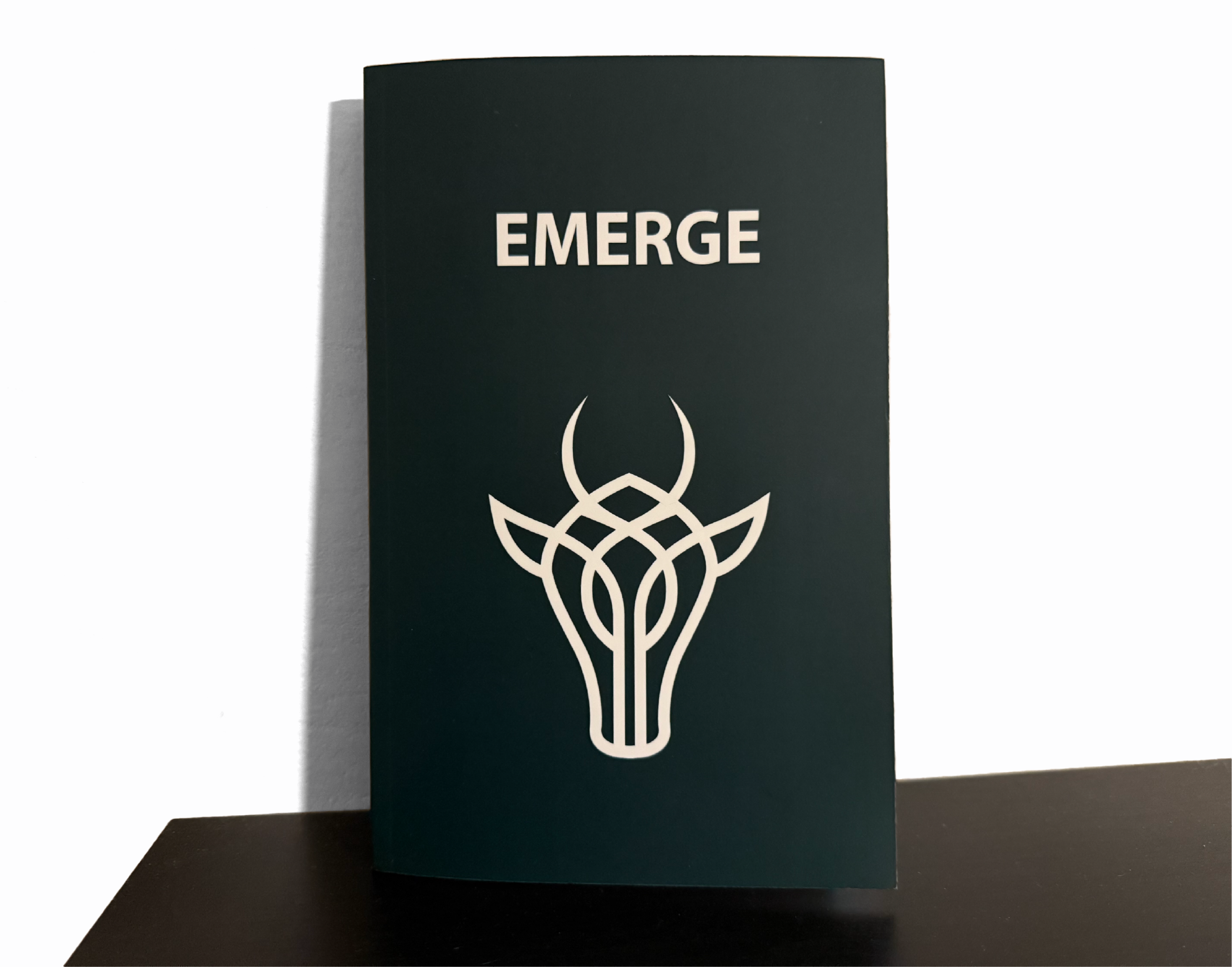 The Journey of the Stag: EMERGE - 90 Day Men's Wellness Journal (Q1)